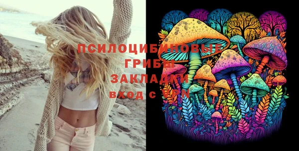 гашик Майский