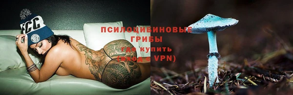 гашик Майский