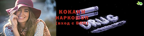 гашик Майский