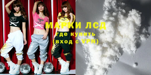 гашик Майский