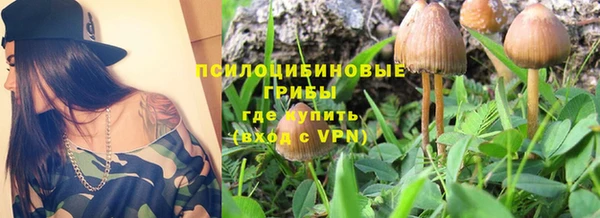 прущий лед Магас