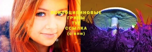 прущий лед Магас