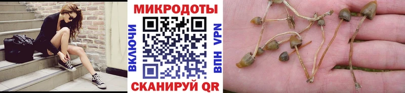 Галлюциногенные грибы Magic Shrooms  Невьянск 